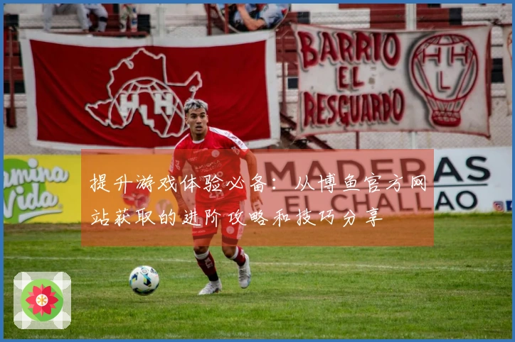 提升游戏体验必备：从博鱼官方网站获取的进阶攻略和技巧分享