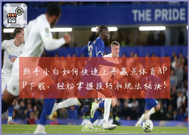 新手小白如何快速上手赢点体育APP下载，轻松掌握技巧和玩法秘诀！